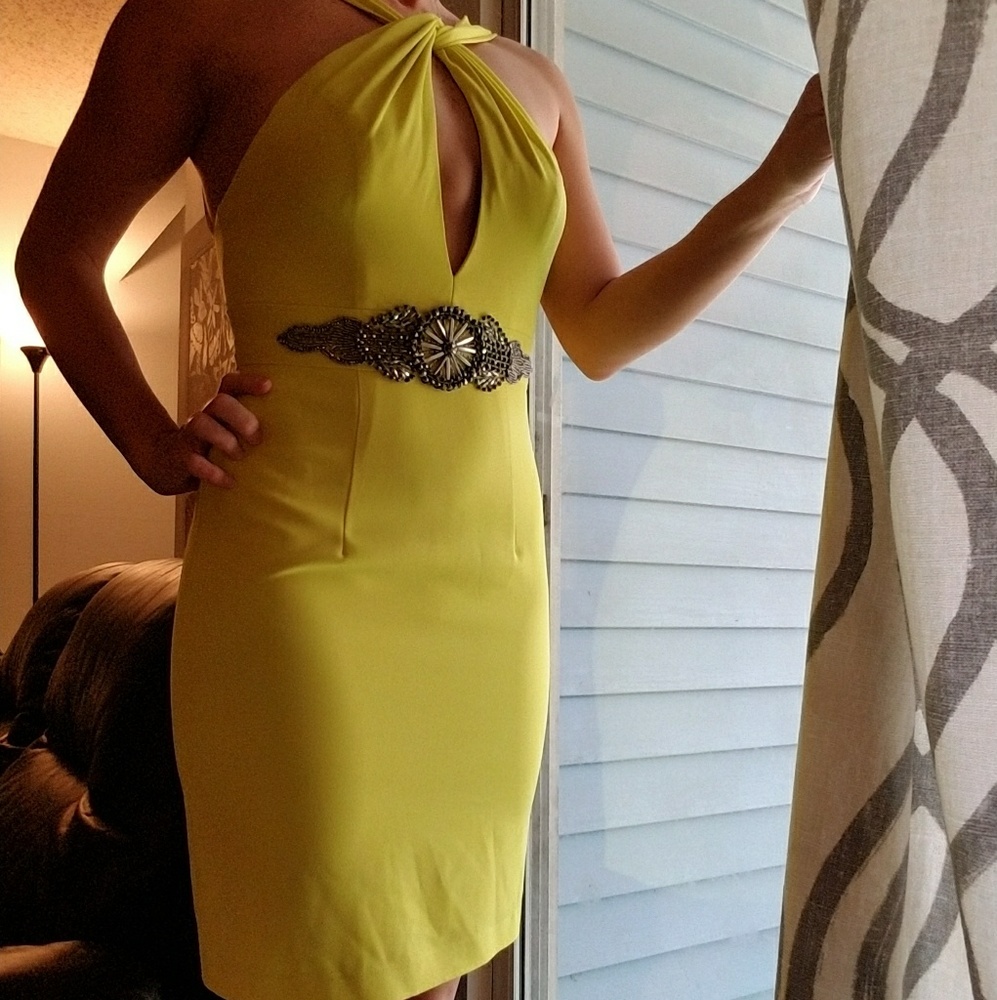 Size 4 terani couture nwot